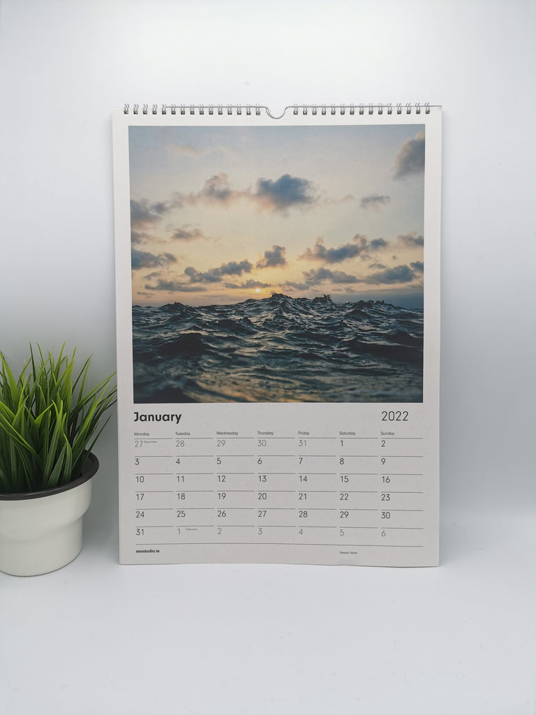 Sea Studio Calendar
