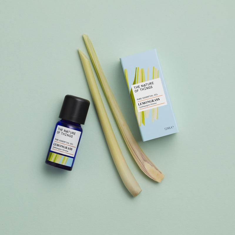 Lemongrass - The Nature of Things